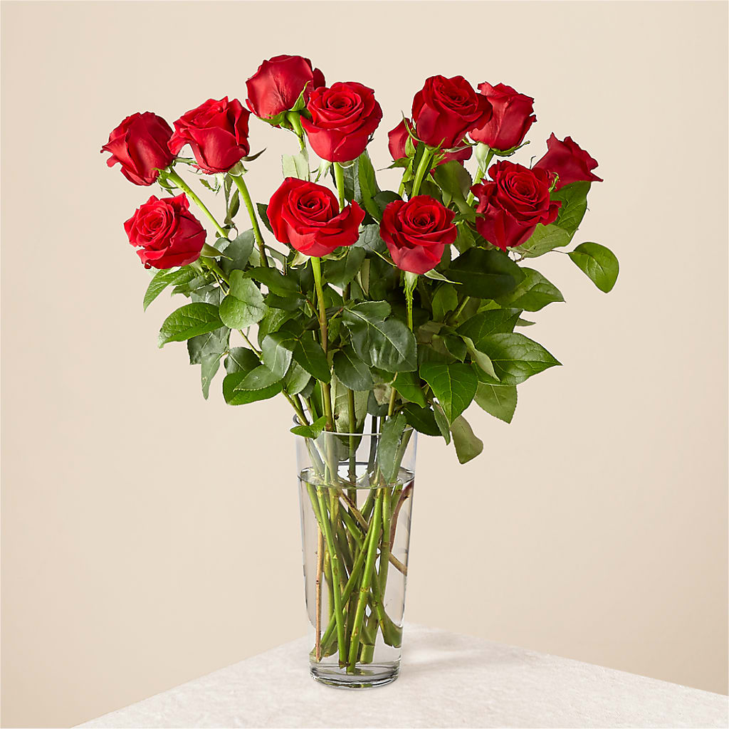 Long Stem Red Rose Bouquet – Paola Parra Flowers, Clermont FL