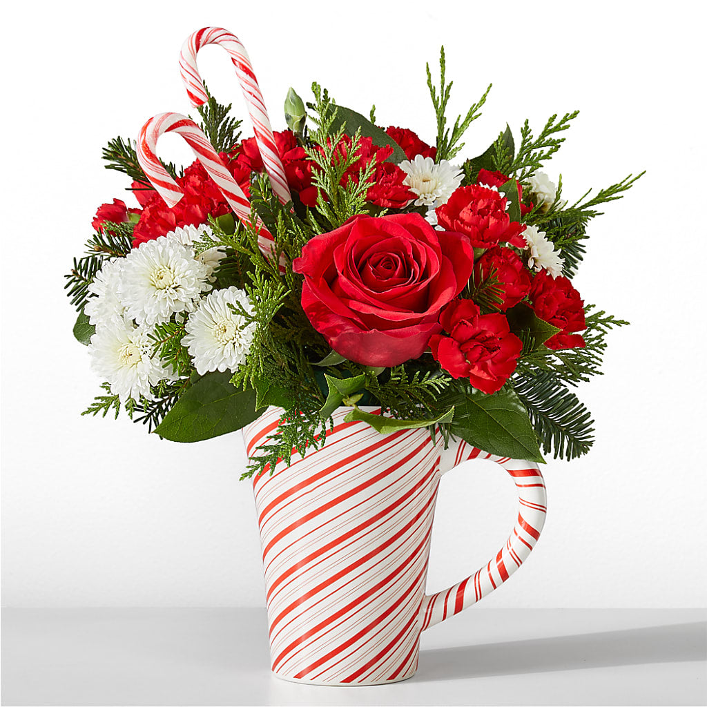 Peppermint Swirl Mug – Paola Parra Flowers, Clermont FL