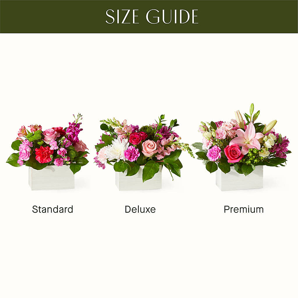 Sweetberry Box – A Florist Original – Paola Parra Flowers, Clermont FL