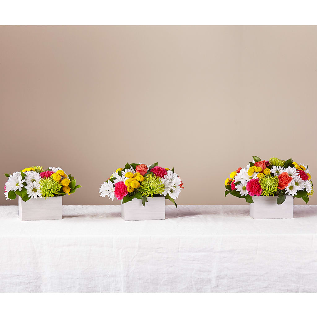 Sorbet Bouquet – Paola Parra Flowers, Clermont FL