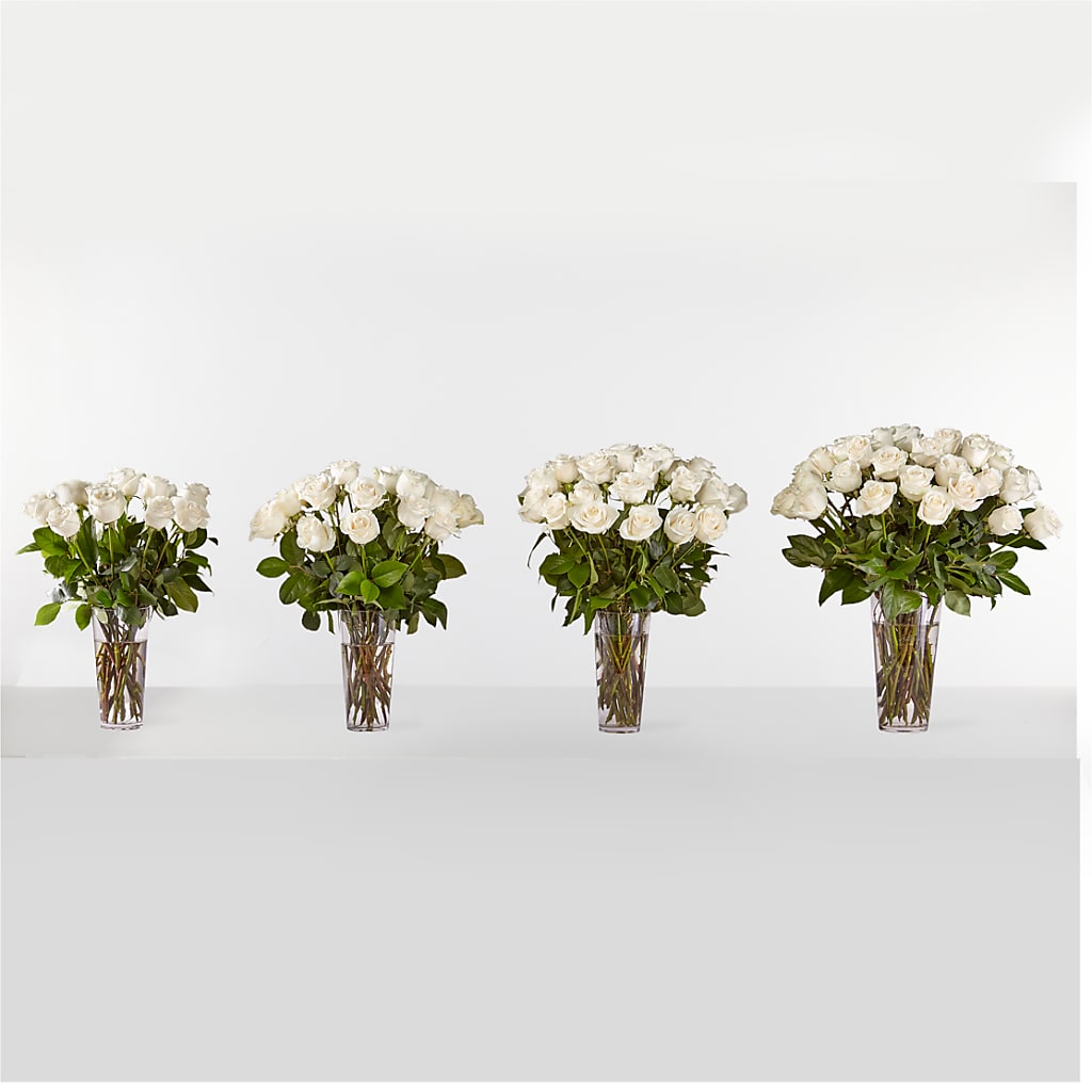 Long Stem White Rose Bouquet – Paola Parra Flowers, Clermont FL