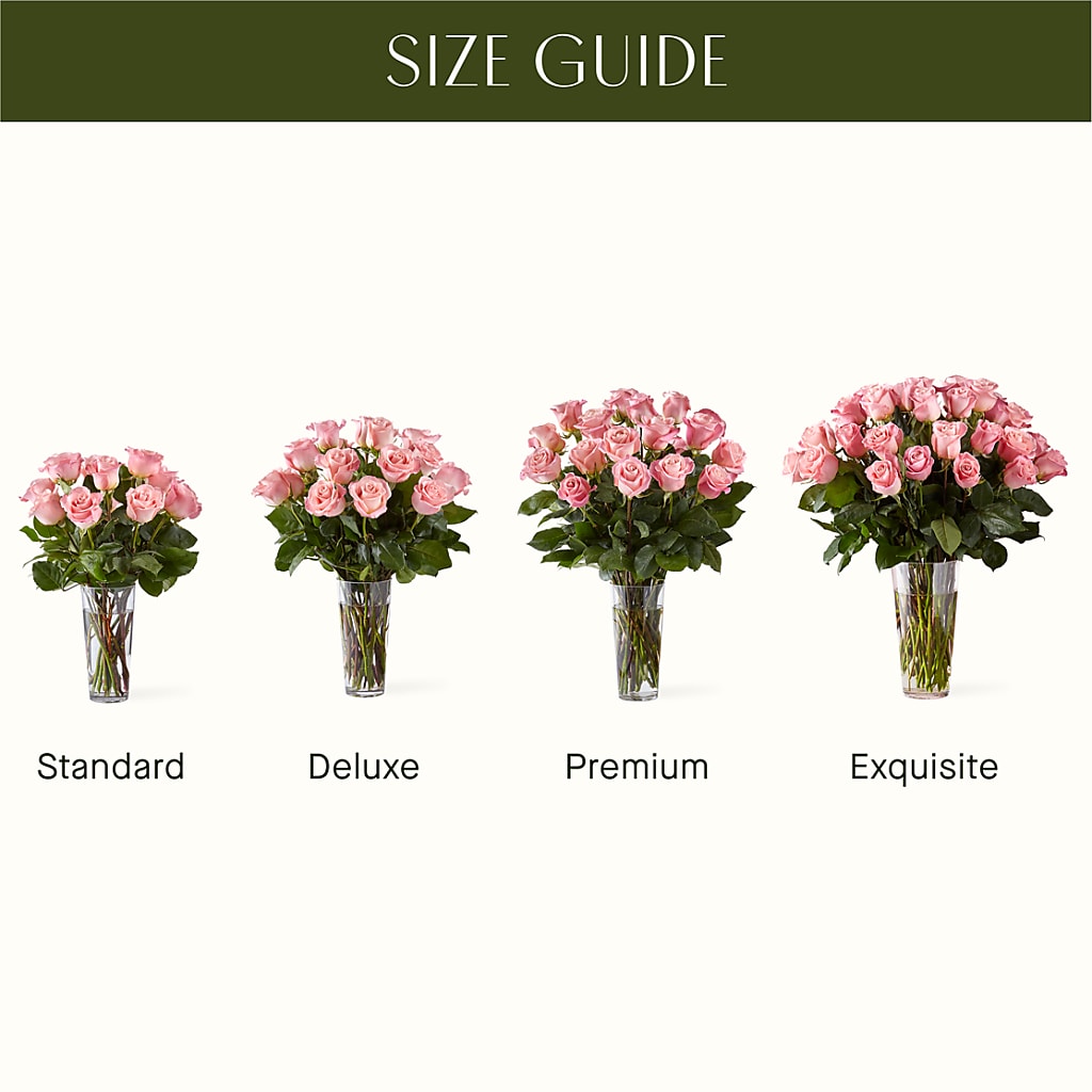 Long Stem Pink Rose Bouquet – Paola Parra Flowers, Clermont FL