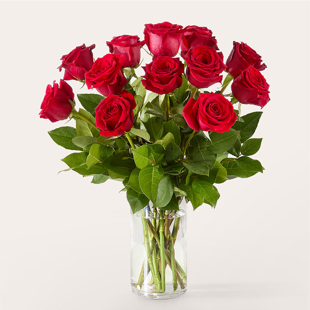 The One Red Rose Bouquet – Paola Parra Flowers, Clermont FL