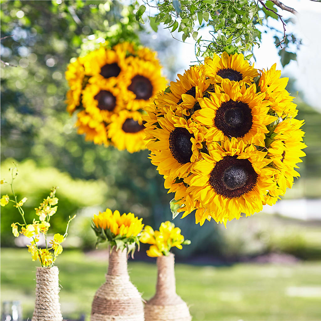 Sublime Garden Hanging Arrangement – Paola Parra Flowers, Clermont FL