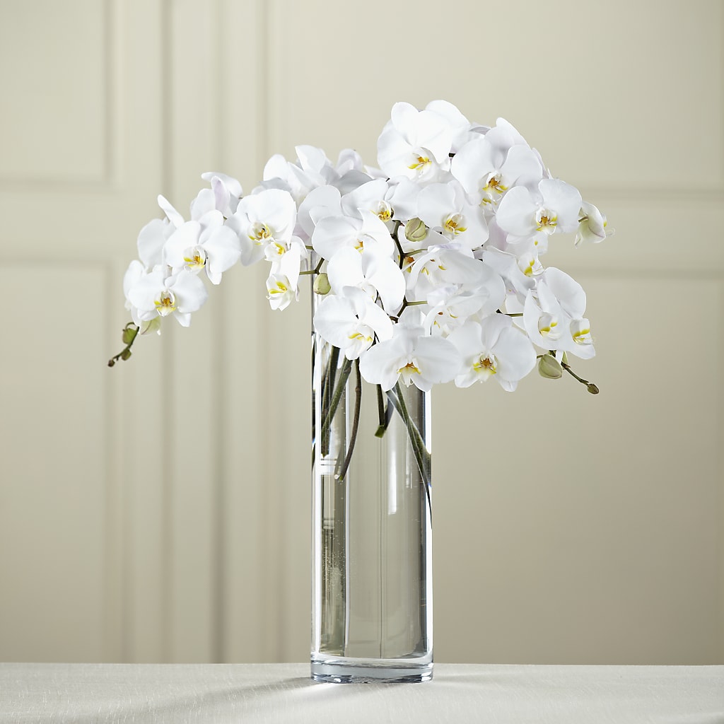White Phalaenopsis Bouquet – Paola Parra Flowers, Clermont FL
