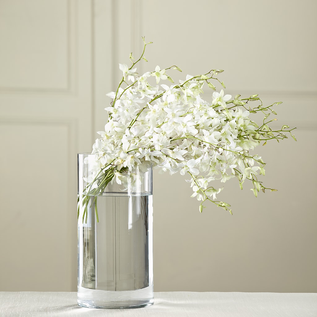 White Dendrobium Bouquet – Paola Parra Flowers, Clermont FL