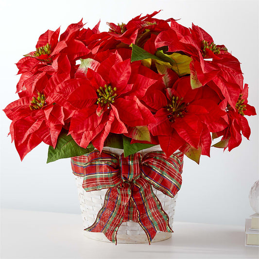 Happiest Holidays Poinsettia –  Paola Parra Flowers, Clermont FL