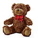 Adorable Plush Bear –  Paola Parra Flowers, Clermont FL