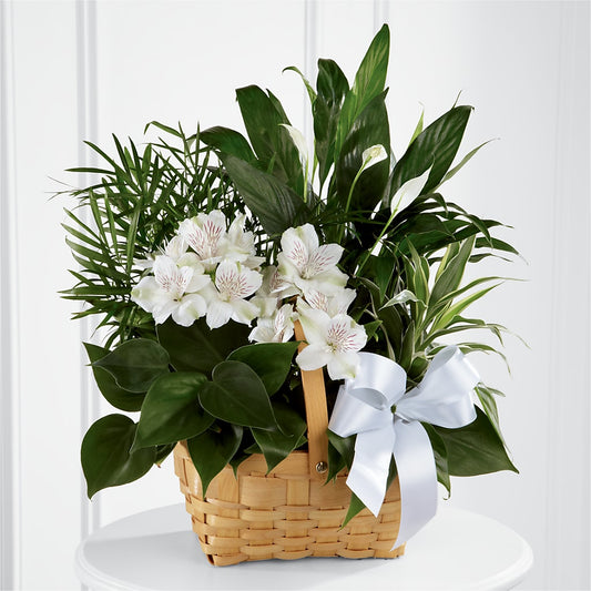 Peace & Serenity Dishgarden –  Paola Parra Flowers, Clermont FL