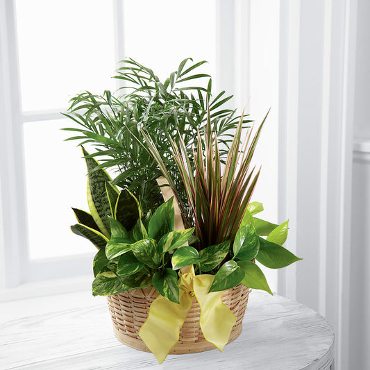 French Garden –  Paola Parra Flowers, Clermont FL