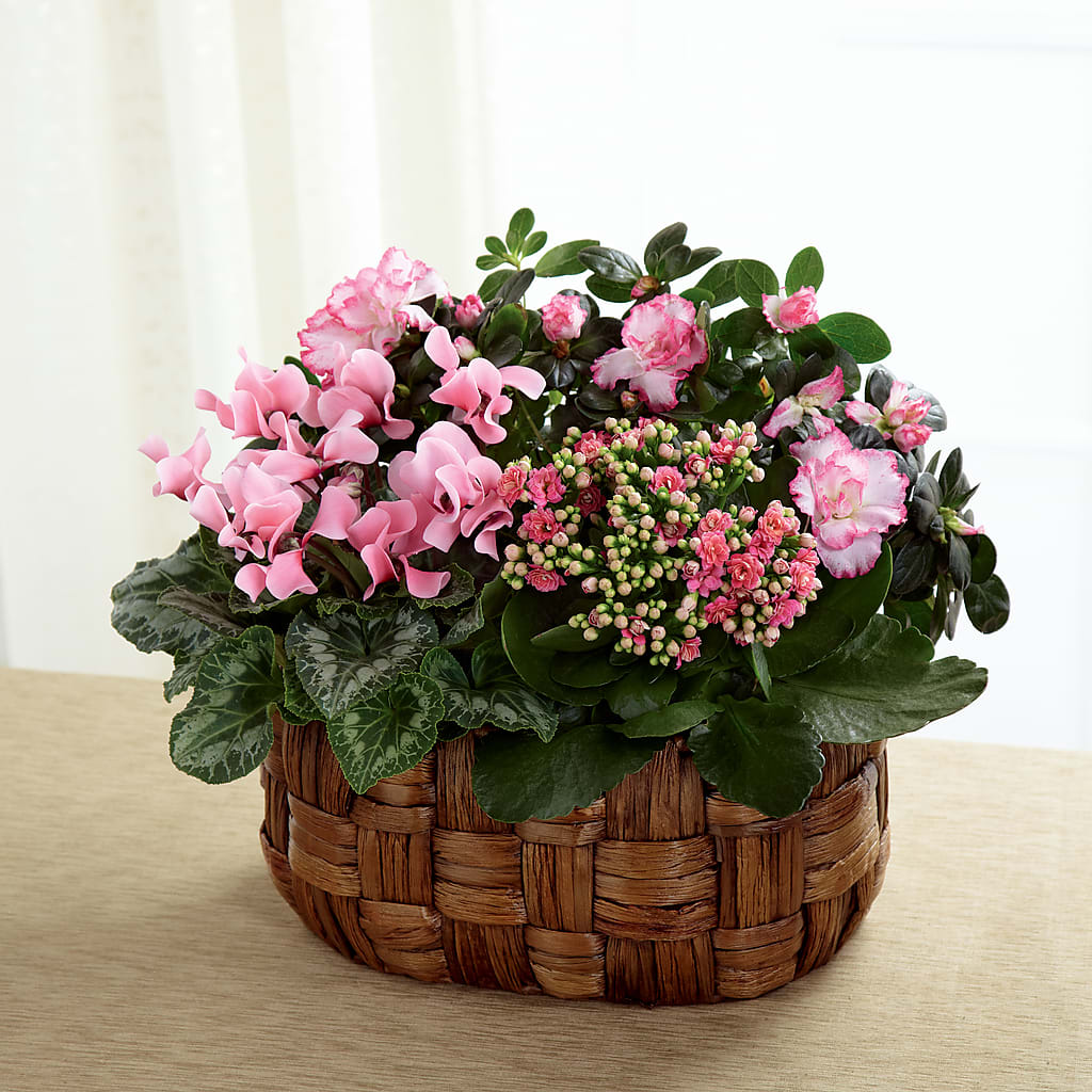 Pink Assortment –  Paola Parra Flowers, Clermont FL