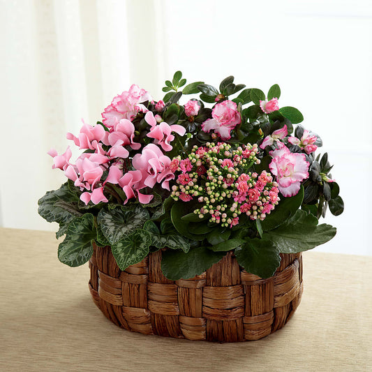 Pink Assortment –  Paola Parra Flowers, Clermont FL
