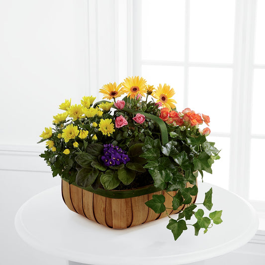 Gentle Blossoms Basket –  Paola Parra Flowers, Clermont FL