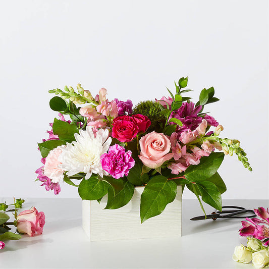 Sweetberry Box – A Florist Original –  Paola Parra Flowers, Clermont FL