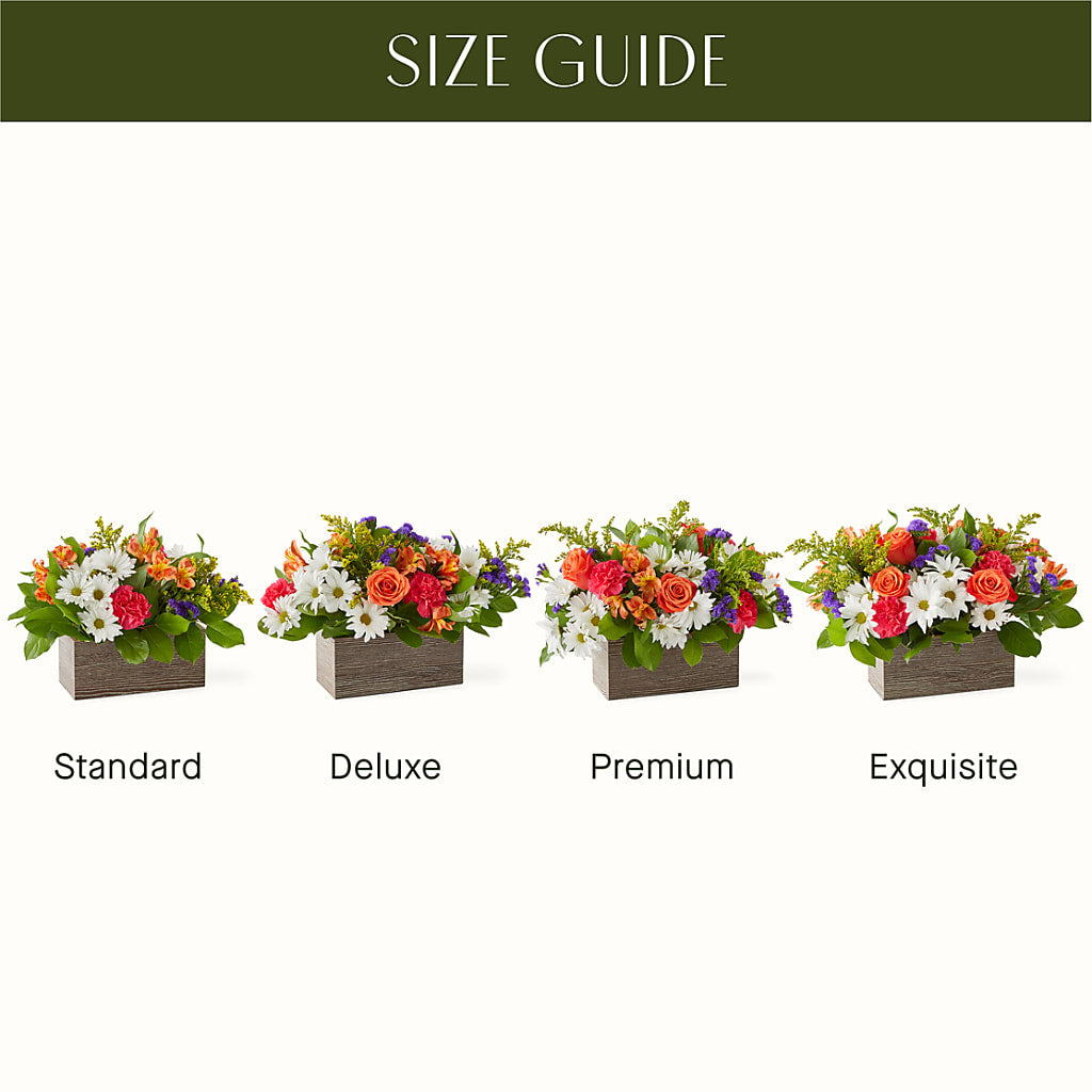 Oopsie Daisy Box Bouquet –  Paola Parra Flowers, Clermont FL