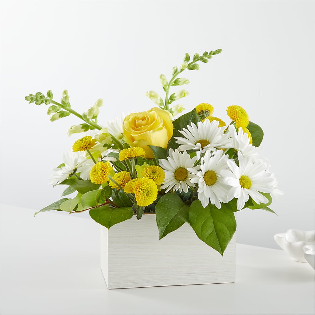 Sun Salutation Box Bouquet –  Paola Parra Flowers, Clermont FL