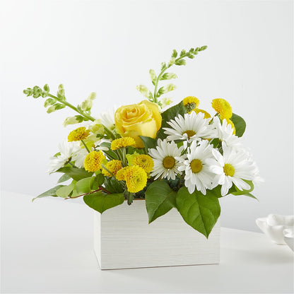 Sun Salutation Box Bouquet –  Paola Parra Flowers, Clermont FL