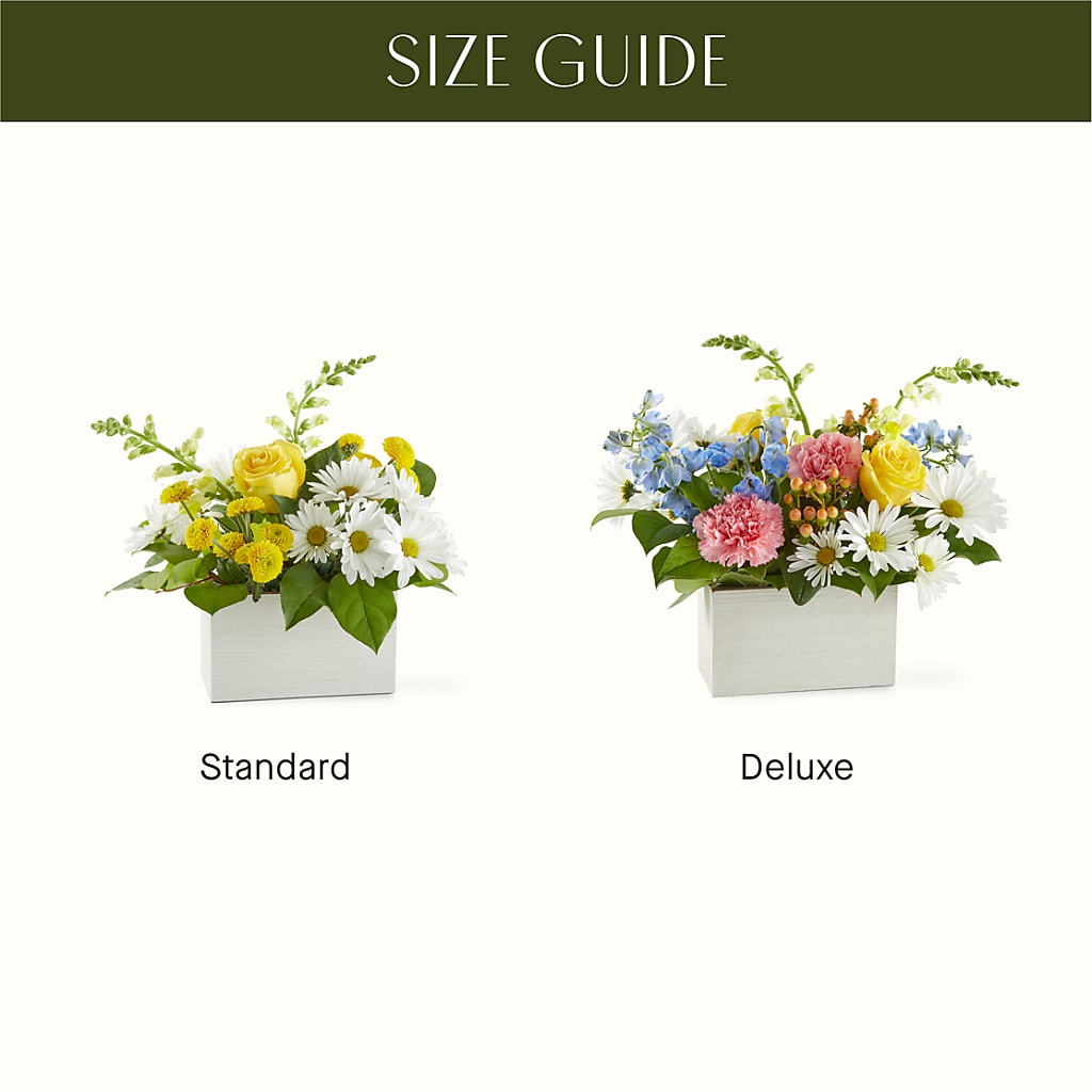 Sun Salutation Box Bouquet –  Paola Parra Flowers, Clermont FL