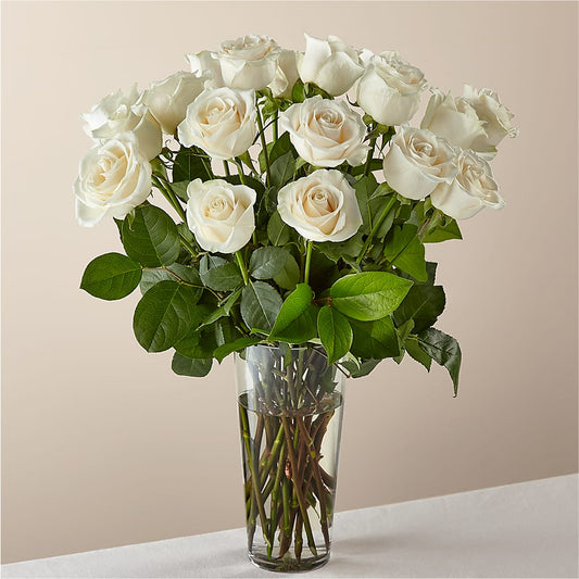 Long Stem White Rose Bouquet –  Paola Parra Flowers, Clermont FL