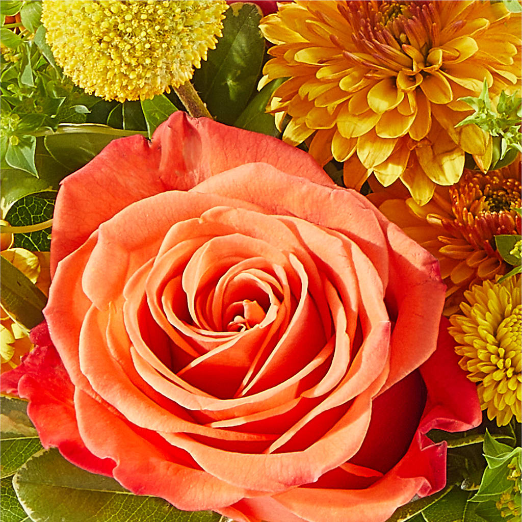 Gourdgeous Pumpkin –  Paola Parra Flowers, Clermont FL