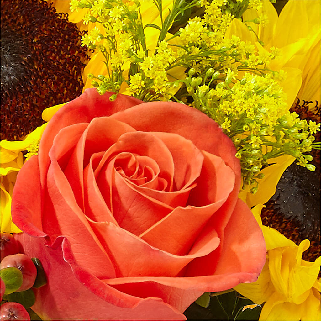 Pick of the Patch Pumpkin Bouquet –  Paola Parra Flowers, Clermont FL