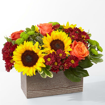 Happy Harvest Garden –  Paola Parra Flowers, Clermont FL