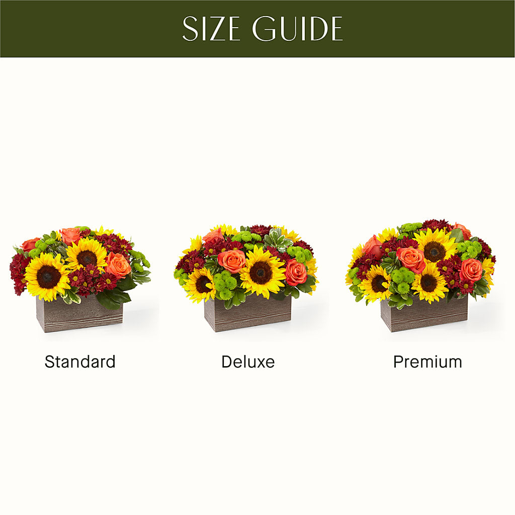 Happy Harvest Garden –  Paola Parra Flowers, Clermont FL