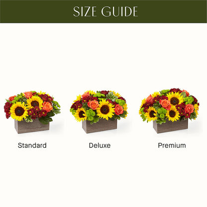 Happy Harvest Garden –  Paola Parra Flowers, Clermont FL