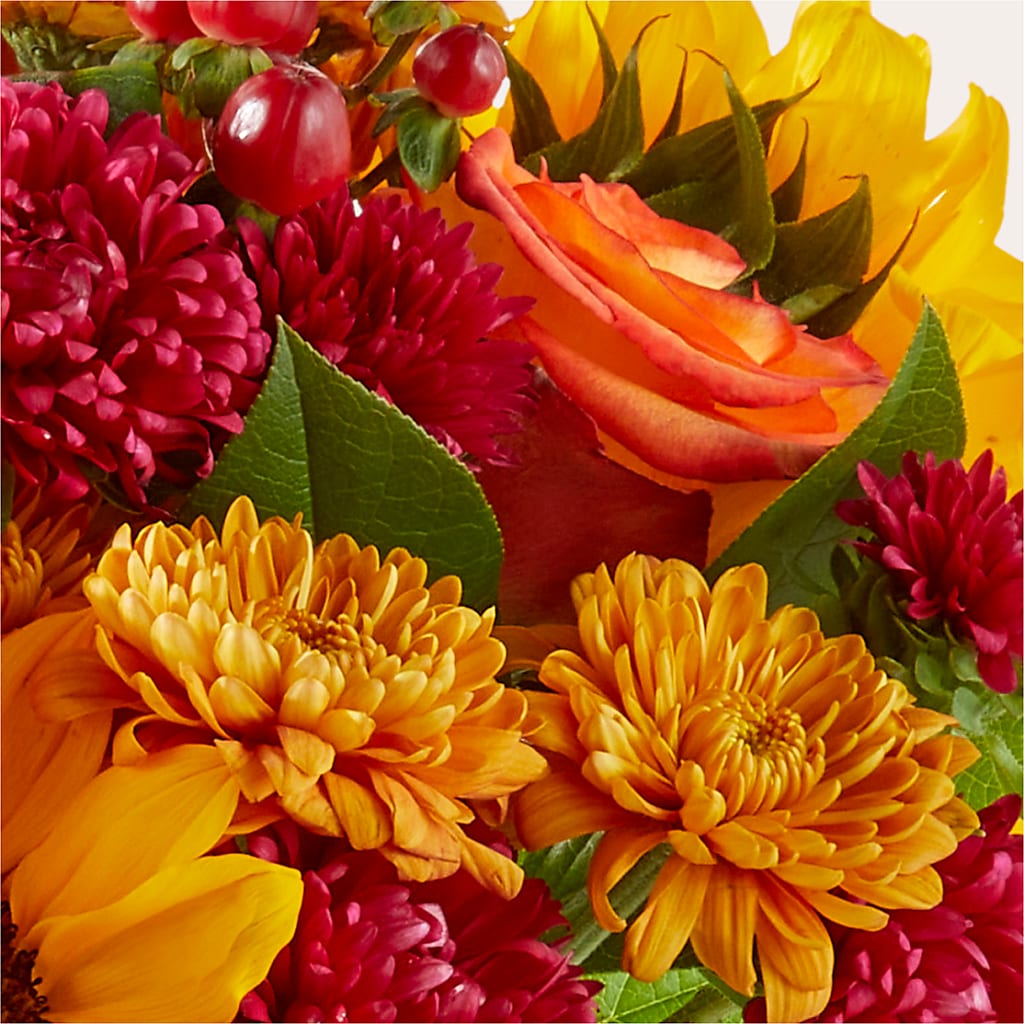 Sweater Season - A Florist Original –  Paola Parra Flowers, Clermont FL