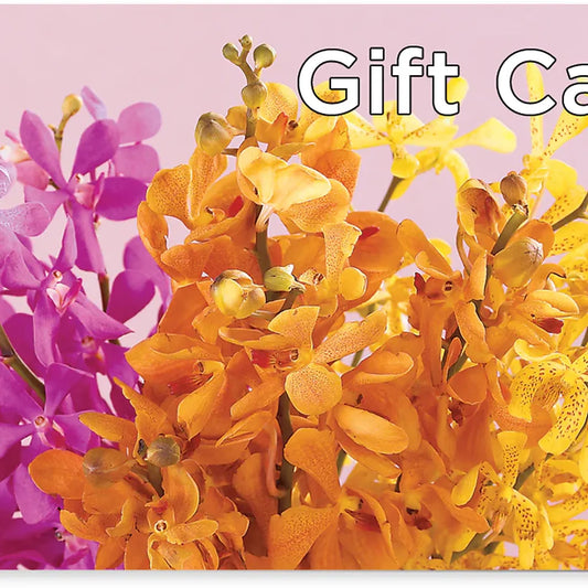 Gift Card –  Paola Parra Flowers, Clermont FL
