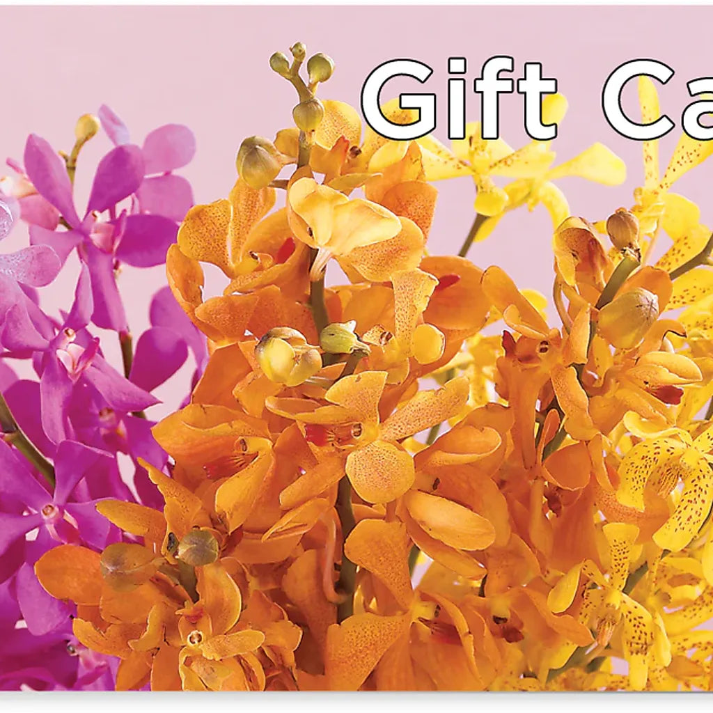 Gift Card –  Paola Parra Flowers, Clermont FL