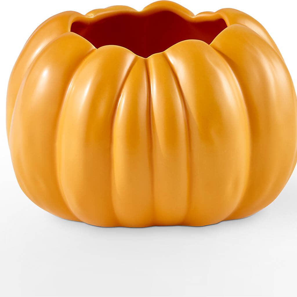 Pick of the Patch Pumpkin Bouquet –  Paola Parra Flowers, Clermont FL