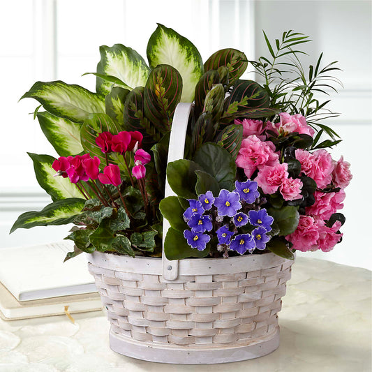 Peaceful Garden Planter –  Paola Parra Flowers, Clermont FL