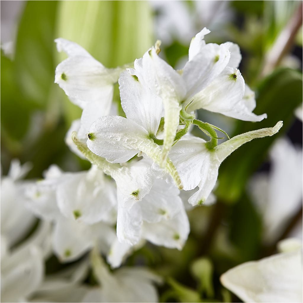 Classic Ivory – A Florist Original –  Paola Parra Flowers, Clermont FL