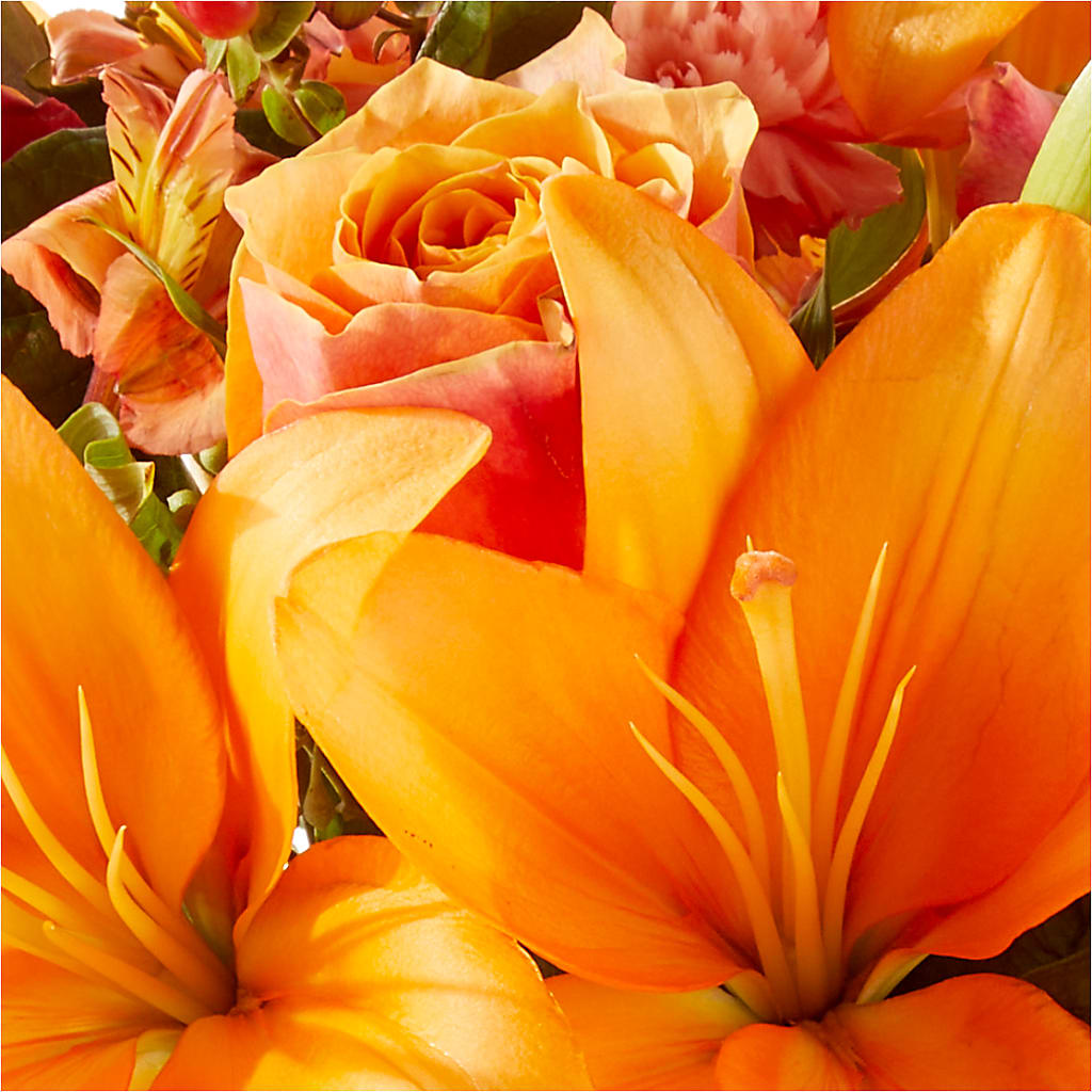 Afternoon Light Bouquet –  Paola Parra Flowers, Clermont FL