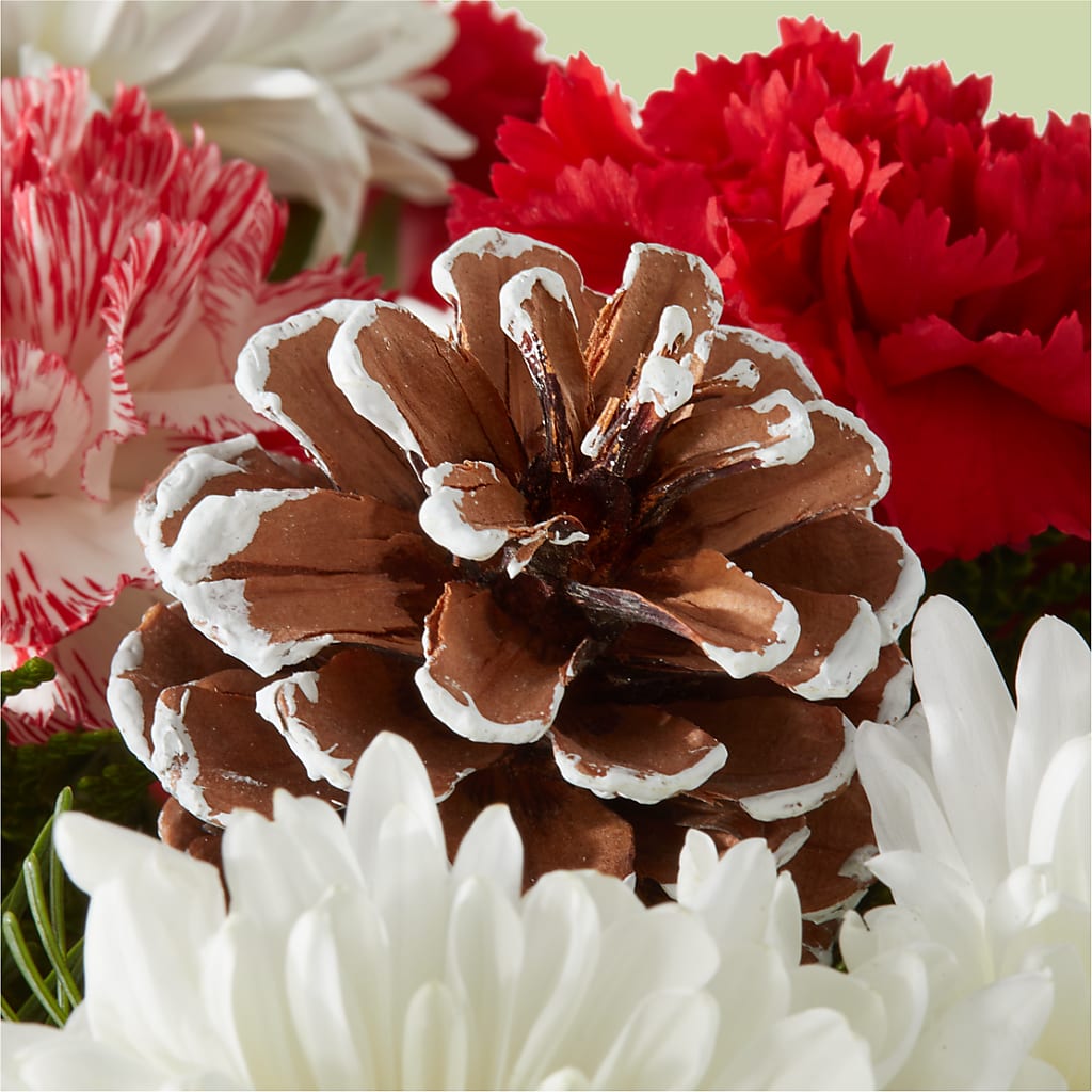 Candy Cane Lane Bouquet –  Paola Parra Flowers, Clermont FL