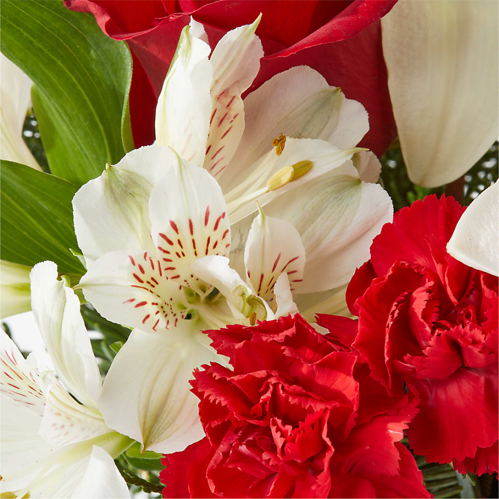 Holiday Season Bouquet –  Paola Parra Flowers, Clermont FL