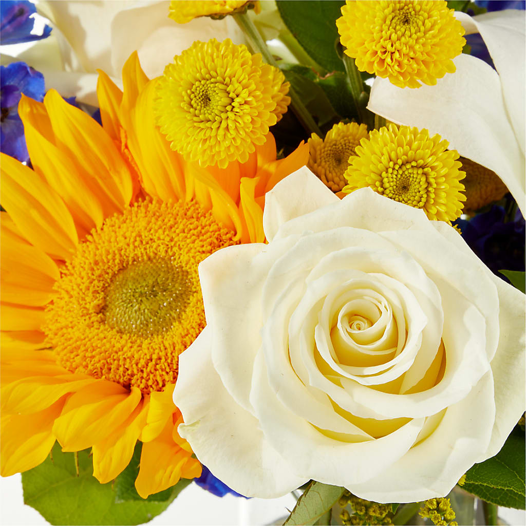 Stargazing Bouquet –  Paola Parra Flowers, Clermont FL