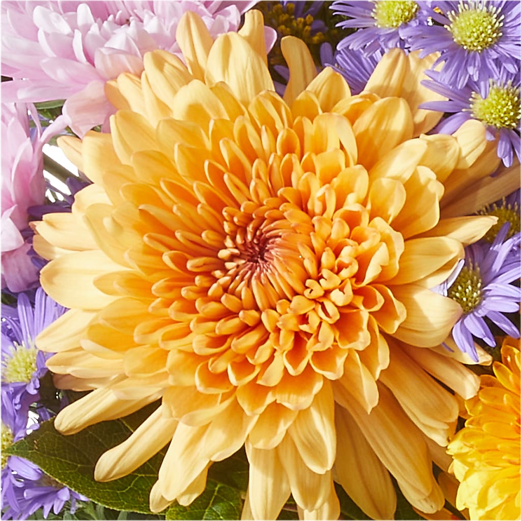 Countryside Bouquet –  Paola Parra Flowers, Clermont FL