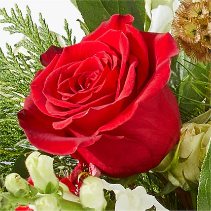 Deck the Halls Bouquet –  Paola Parra Flowers, Clermont FL