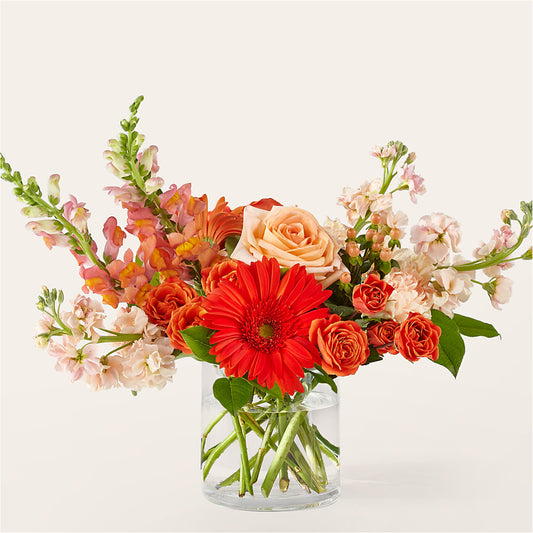 Paloma Please Bouquet –  Paola Parra Flowers, Clermont FL