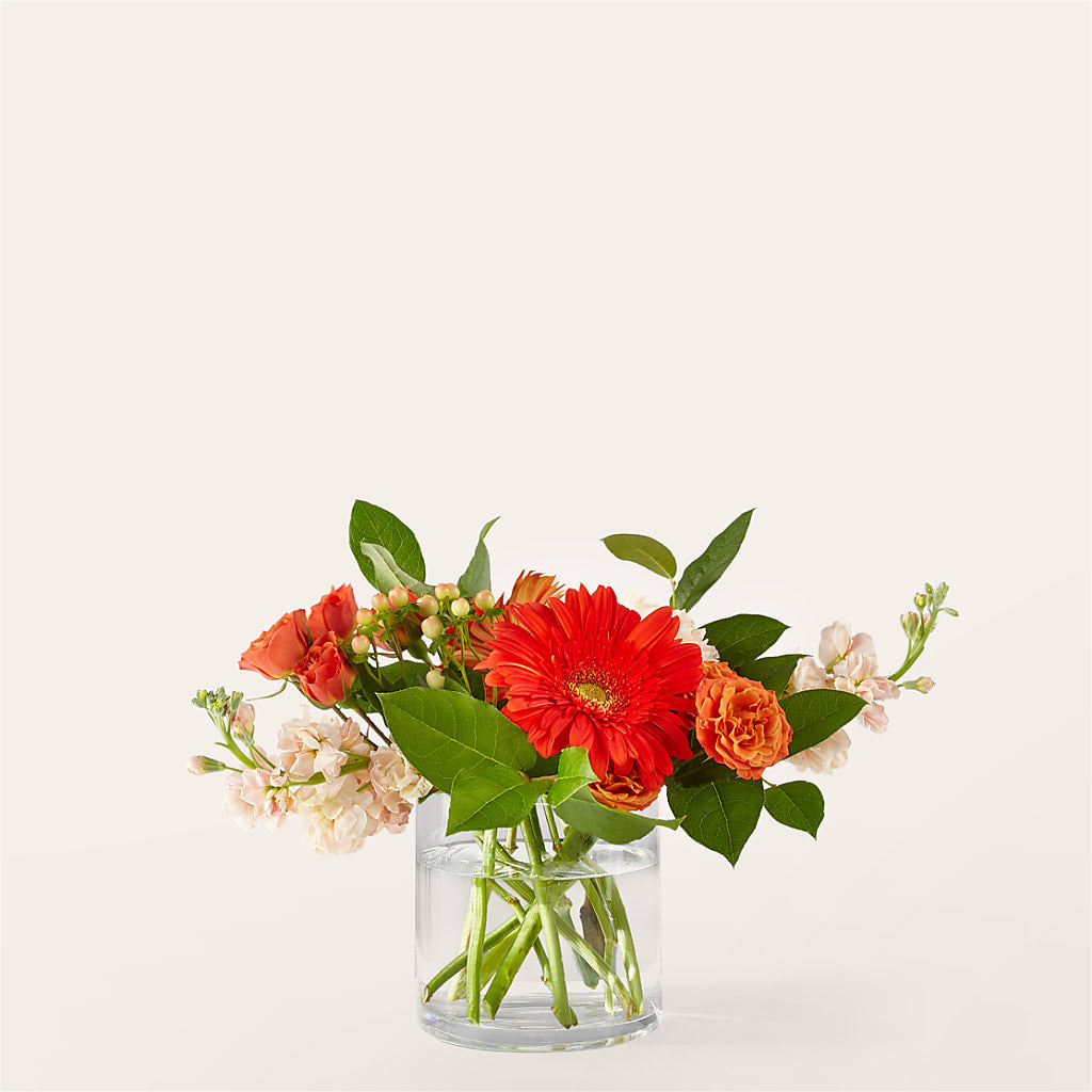 Paloma Please Bouquet –  Paola Parra Flowers, Clermont FL