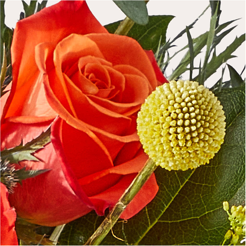 Disco Bouquet –  Paola Parra Flowers, Clermont FL