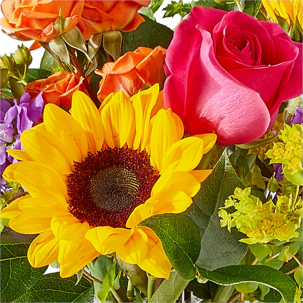 Vibrant Greetings Bouquet –  Paola Parra Flowers, Clermont FL