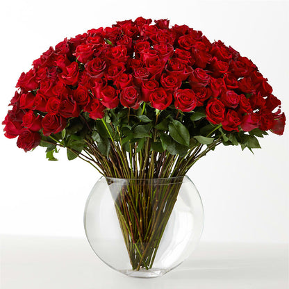 The Idealist –  Paola Parra Flowers, Clermont FL