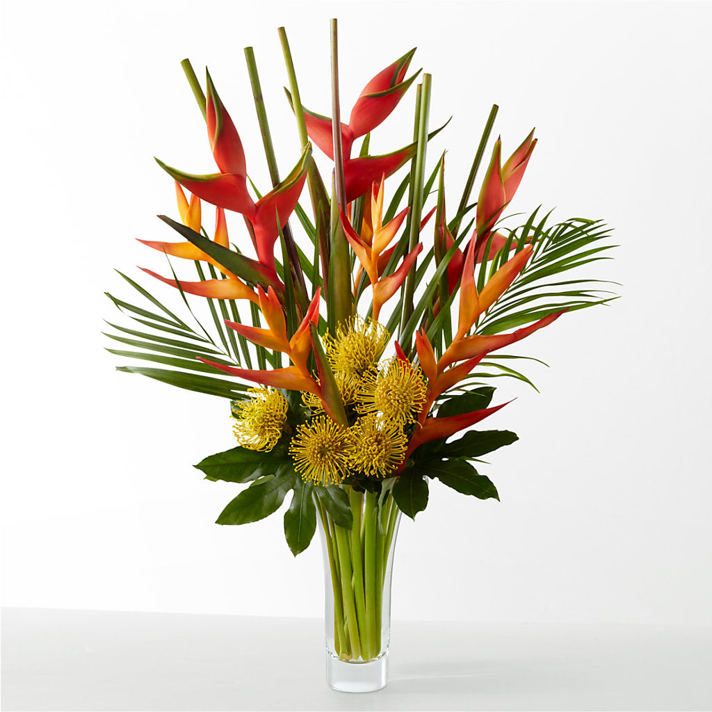 The Drama –  Paola Parra Flowers, Clermont FL