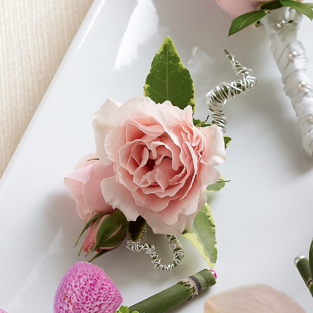 Pink Spray Rose Boutonniere –  Paola Parra Flowers, Clermont FL