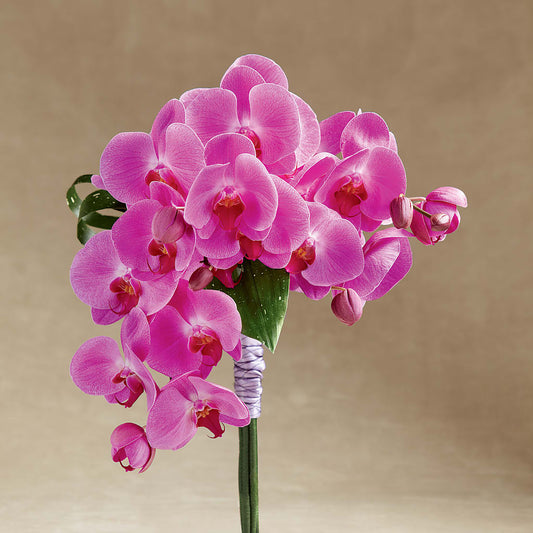 Glorious Bouquet –  Paola Parra Flowers, Clermont FL