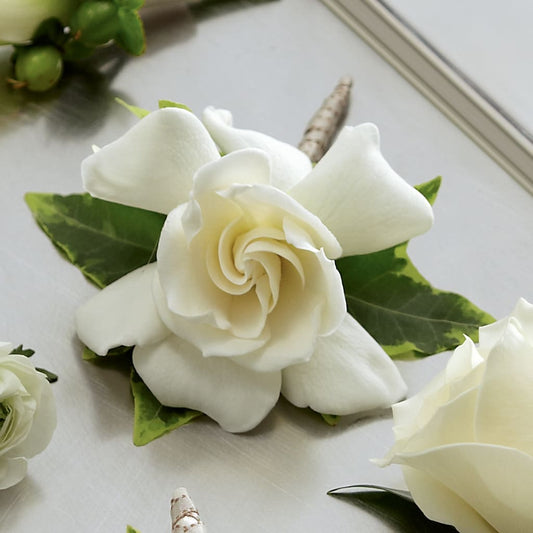 Gardenia Boutonniere –  Paola Parra Flowers, Clermont FL