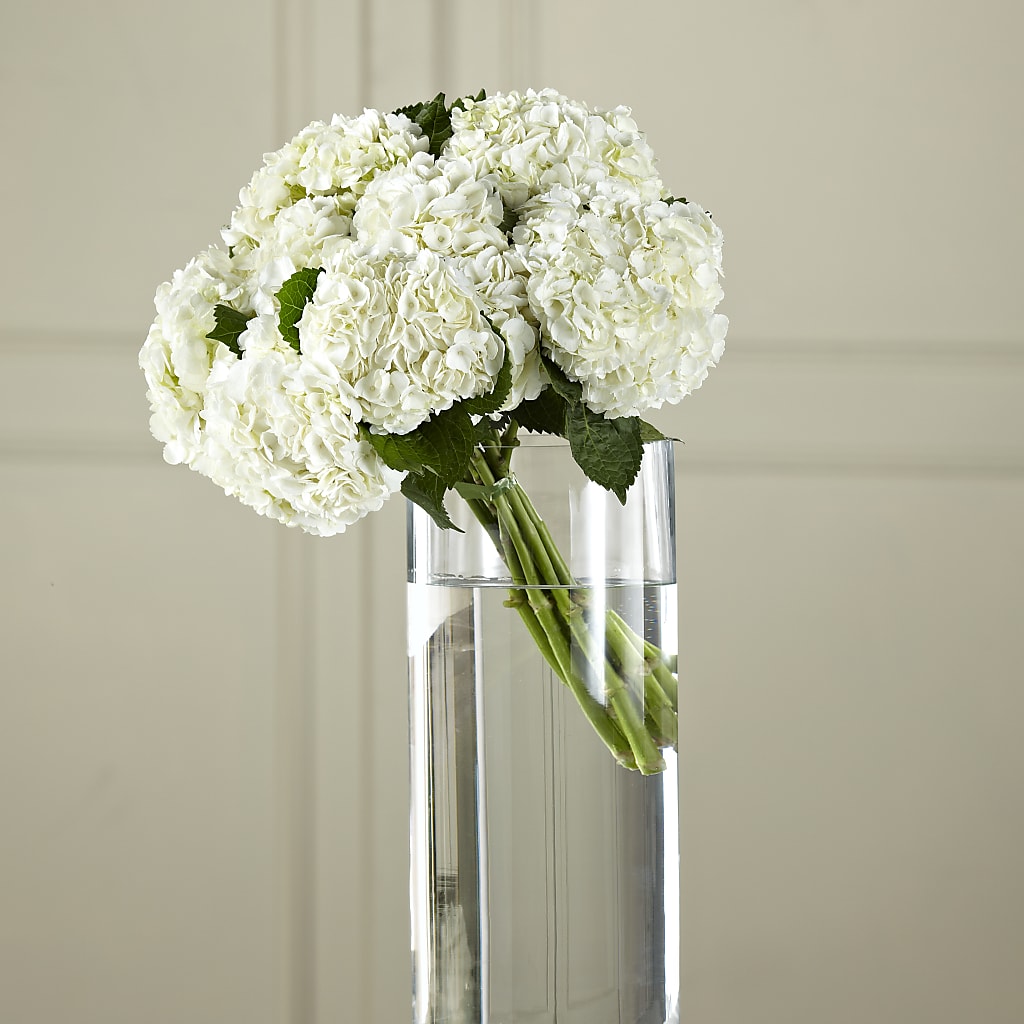 White Hydrangea Hand-Tied Bouquet –  Paola Parra Flowers, Clermont FL